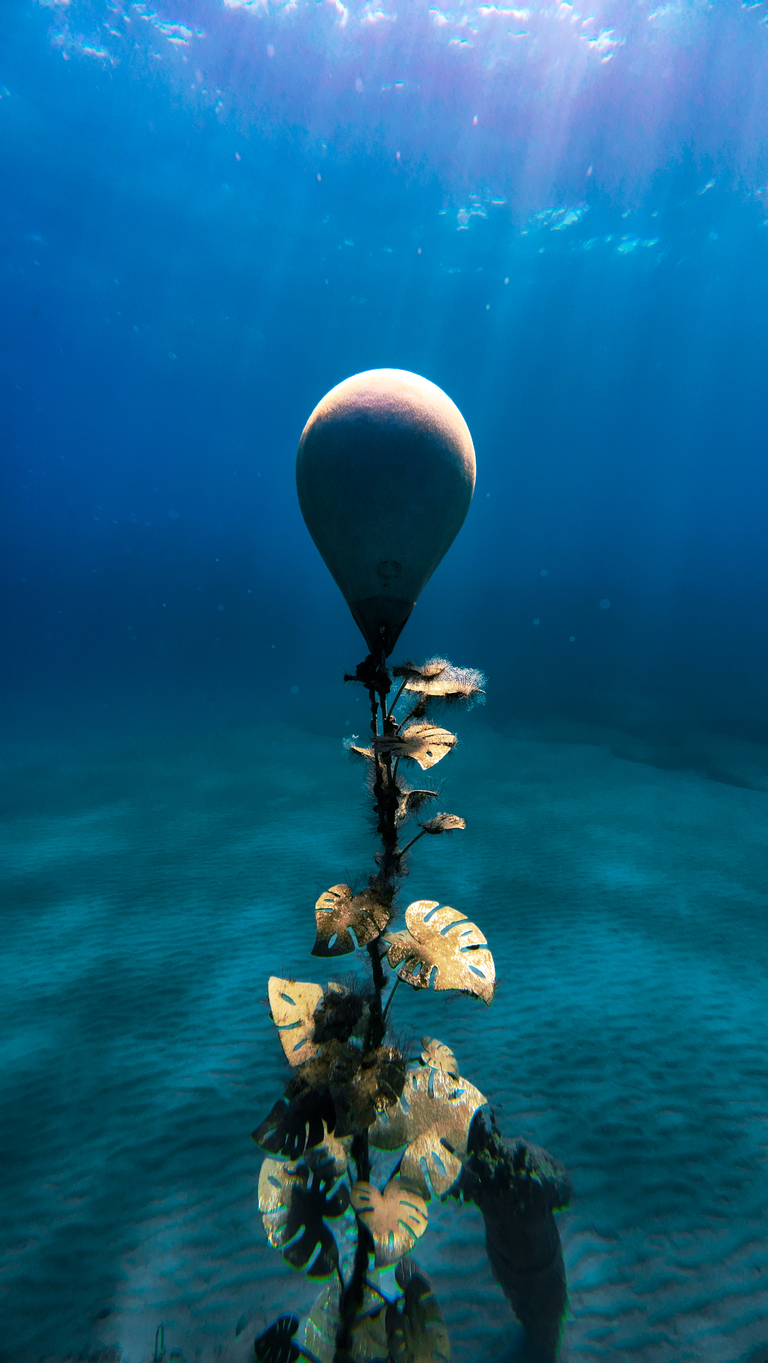 A submerged child sculpture covered in fine marine growth standing on pale sand at the MUSAN underwater museum